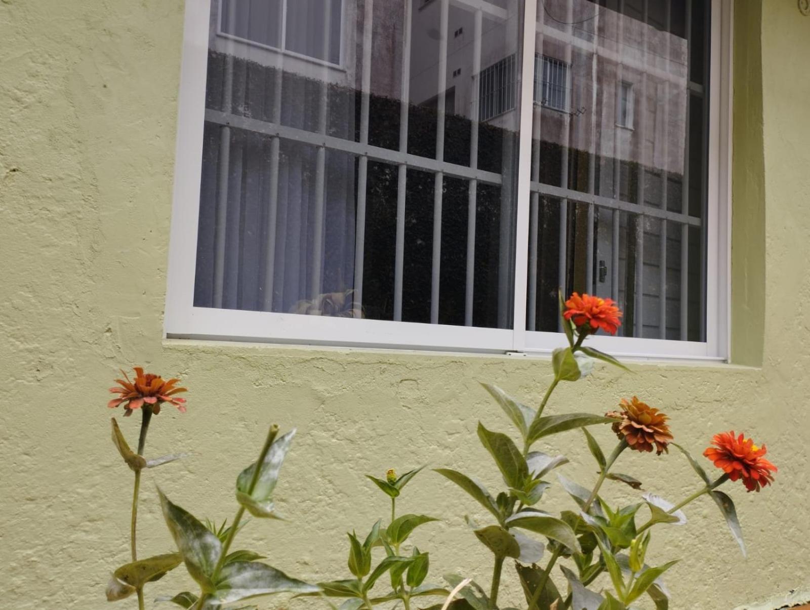 Charmoso Apto Com Clima De Casa Em Canasvieiras Florianópolis Exteriör bild